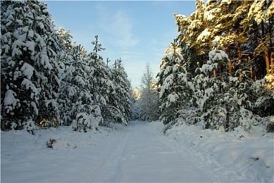 《对马岛之鬼》日本国内销量超过100万套