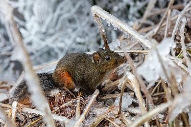 《骑马与砍杀2》海战资料片新细节 风暴难以提前预测