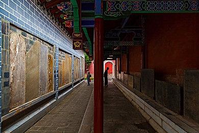 加入《Ai Vpet＆守护与智友》测试服，探索个性化AI虚拟宠物的世界  